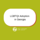 LBGTQI Adoption in georgia